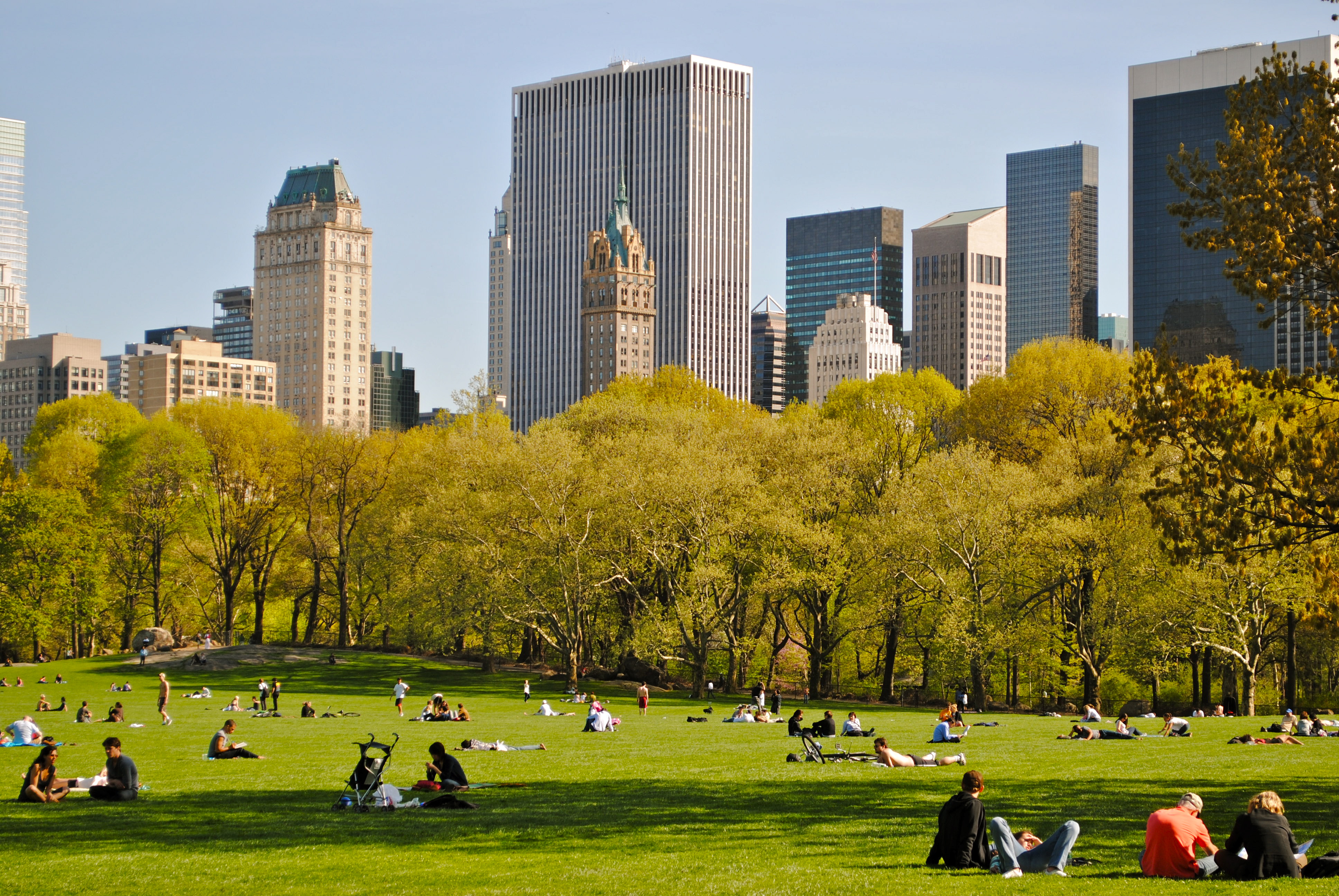 central-park-nova-york-sheep-meadow