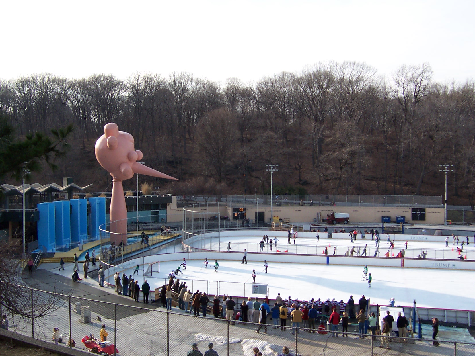 lasker_rink_nova_york